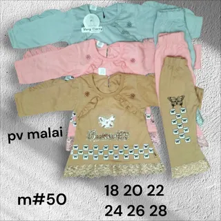 m67 24 28 buterfly